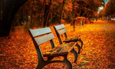 Parkbank im Herbstlaub