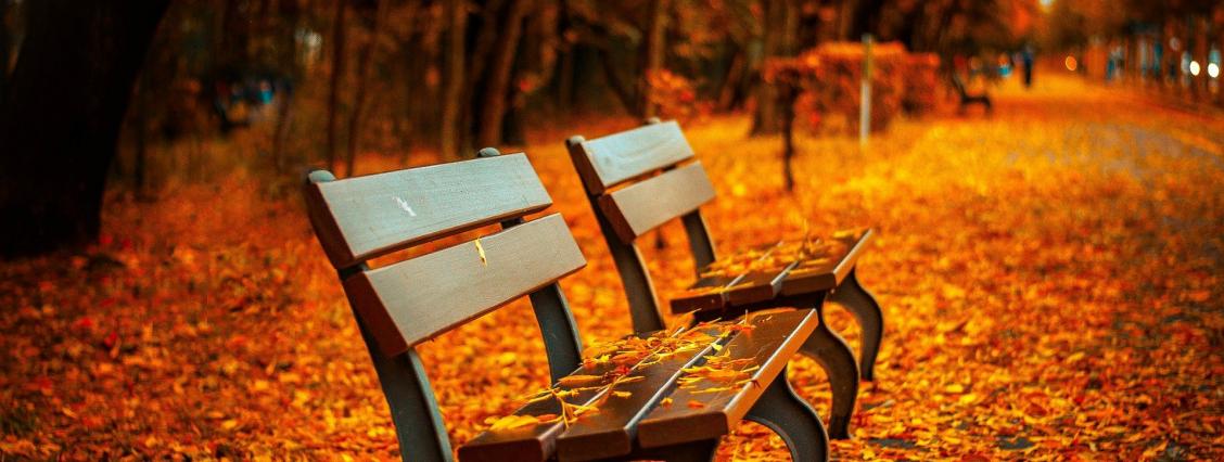 Seniorenmedizin Parkbank im Herbstlaub