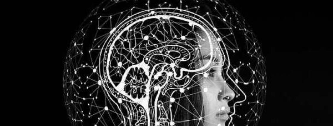 Gehirn – Artificial Intelligence